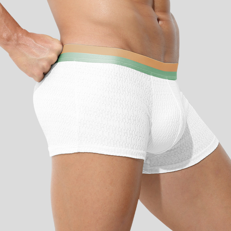 3PCS Men's cotton underwear me - đánh giá và giá Boxer Brief Pack Cotton